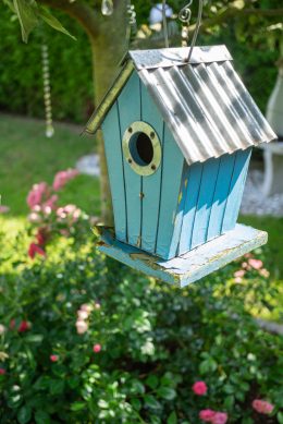 Wohngruppen – Vogelhaus Wohngruppen - Vogelhaus